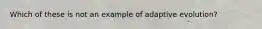 Which of these is not an example of adaptive evolution?