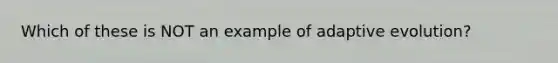 Which of these is NOT an example of adaptive evolution?