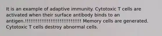 It is an example of adaptive immunity. Cytotoxic T cells are activated when their surface antibody binds to an antigen.!!!!!!!!!!!!!!!!!!!!!!!!!!!!!!! Memory cells are generated. Cytotoxic T cells destroy abnormal cells.