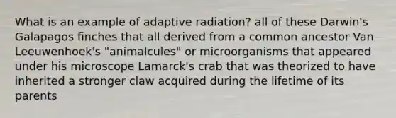 What is an example of adaptive radiation? all of these Darwin's Galapagos finches that all derived from a common ancestor Van Leeuwenhoek's "animalcules" or microorganisms that appeared under his microscope Lamarck's crab that was theorized to have inherited a stronger claw acquired during the lifetime of its parents