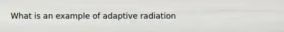 What is an example of adaptive radiation