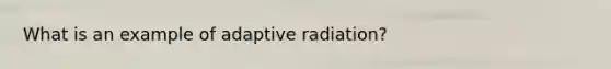 What is an example of adaptive radiation?