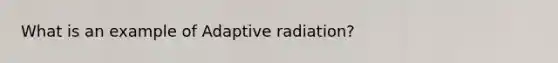 What is an example of Adaptive radiation?