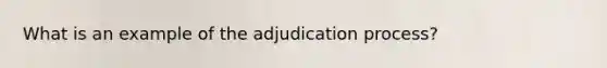 What is an example of the adjudication process?