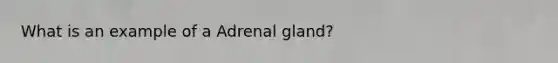 What is an example of a Adrenal gland?