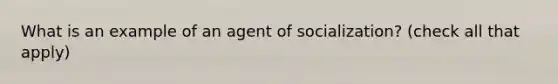 What is an example of an agent of socialization? (check all that apply)