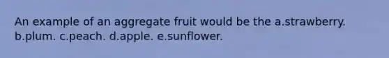 An example of an aggregate fruit would be the a.strawberry. b.plum. c.peach. d.apple. e.sunflower.