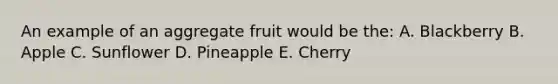 An example of an aggregate fruit would be the: A. Blackberry B. Apple C. Sunflower D. Pineapple E. Cherry