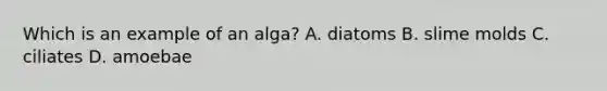 Which is an example of an alga? A. diatoms B. slime molds C. ciliates D. amoebae