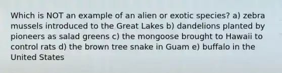 Which is NOT an example of an alien or exotic species? a) zebra mussels introduced to the Great Lakes b) dandelions planted by pioneers as salad greens c) the mongoose brought to Hawaii to control rats d) the brown tree snake in Guam e) buffalo in the United States