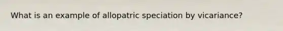 What is an example of allopatric speciation by vicariance?