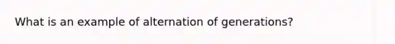 What is an example of alternation of generations?