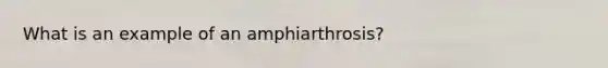 What is an example of an amphiarthrosis?