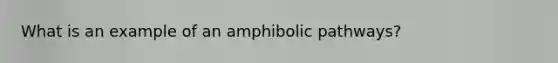 What is an example of an amphibolic pathways?