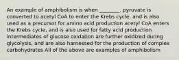 An example of amphibolism is when ________. pyruvate is converted to acetyl CoA to enter the Krebs cycle, and is also used as a precursor for amino acid production acetyl CoA enters the Krebs cycle, and is also used for fatty acid production intermediates of glucose oxidation are further oxidized during glycolysis, and are also harnessed for the production of complex carbohydrates All of the above are examples of amphibolism