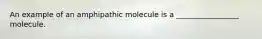 An example of an amphipathic molecule is a _________________ molecule.