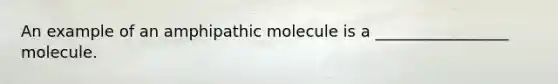 An example of an amphipathic molecule is a _________________ molecule.