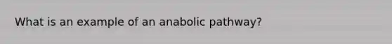 What is an example of an anabolic pathway?