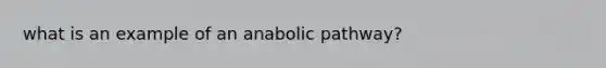 what is an example of an anabolic pathway?