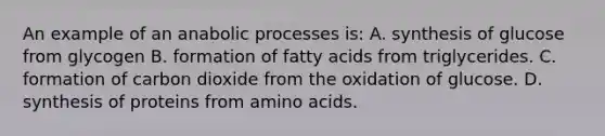 An example of an anabolic processes is: A. synthesis of glucose from glycogen B. formation of fatty acids from triglycerides. C. formation of carbon dioxide from the oxidation of glucose. D. synthesis of proteins from amino acids.