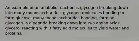 An example of an anabolic reaction is glycogen breaking down into many monosaccharides. glycogen molecules bonding to form glucose. many monosaccharides bonding, forming glycogen. a dipeptide breaking down into two <a href='https://www.questionai.com/knowledge/k9gb720LCl-amino-acids' class='anchor-knowledge'>amino acids</a>. glycerol reacting with 3 fatty acid molecules to yield water and proteins.