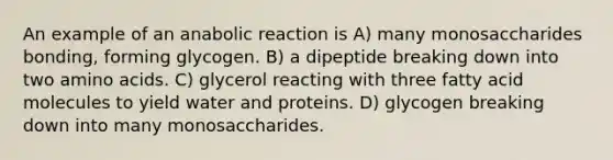 An example of an anabolic reaction is A) many monosaccharides bonding, forming glycogen. B) a dipeptide breaking down into two amino acids. C) glycerol reacting with three fatty acid molecules to yield water and proteins. D) glycogen breaking down into many monosaccharides.