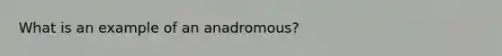 What is an example of an anadromous?