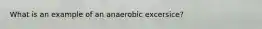 What is an example of an anaerobic excersice?