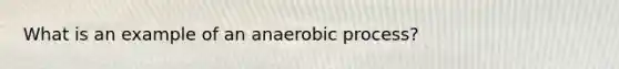 What is an example of an anaerobic process?