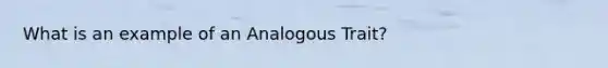 What is an example of an Analogous Trait?