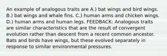 An example of analogous traits are A.) bat wings and bird wings. B.) bat wings and whale fins. C.) human arms and chicken wings. D.) human arms and human legs. FEEDBACK: Analogous traits are similar characteristics that are the result of convergent evolution rather than descent from a recent common ancestor. Bats and birds have wings, but these evolved separately in response to similar environmental pressures.