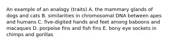 An example of an analogy (traits) A. the mammary glands of dogs and cats B. similarities in chromosomal DNA between apes and humans C. five-digited hands and feet among baboons and macaques D. porpoise fins and fish fins E. bony eye sockets in chimps and gorillas