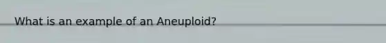 What is an example of an Aneuploid?