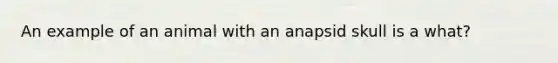 An example of an animal with an anapsid skull is a what?