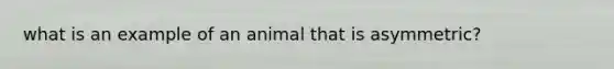 what is an example of an animal that is asymmetric?