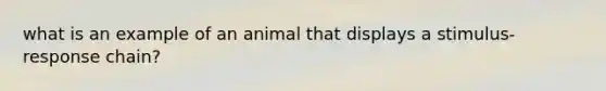 what is an example of an animal that displays a stimulus-response chain?