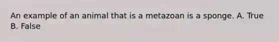 An example of an animal that is a metazoan is a sponge. A. True B. False