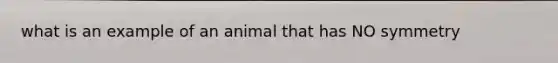 what is an example of an animal that has NO symmetry