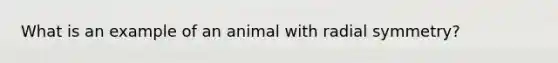 What is an example of an animal with radial symmetry?