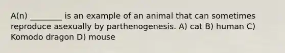 A(n) ________ is an example of an animal that can sometimes reproduce asexually by parthenogenesis. A) cat B) human C) Komodo dragon D) mouse