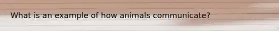 What is an example of how animals communicate?