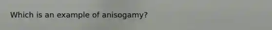 Which is an example of anisogamy?