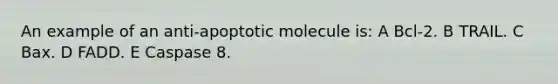 An example of an anti-apoptotic molecule is: A Bcl-2. B TRAIL. C Bax. D FADD. E Caspase 8.