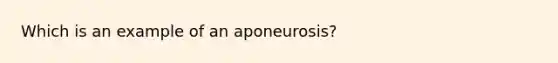 Which is an example of an aponeurosis?