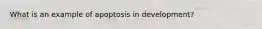 What is an example of apoptosis in development?