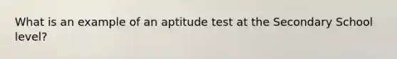 What is an example of an aptitude test at the Secondary School level?