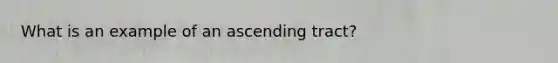 What is an example of an ascending tract?