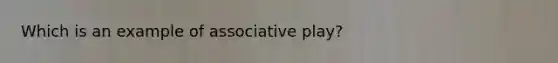 Which is an example of associative play?