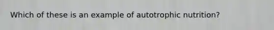 Which of these is an example of autotrophic nutrition?