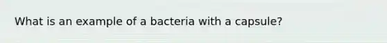 What is an example of a bacteria with a capsule?